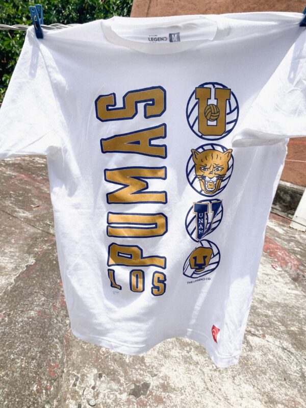 Los Pumas - Imagen 2