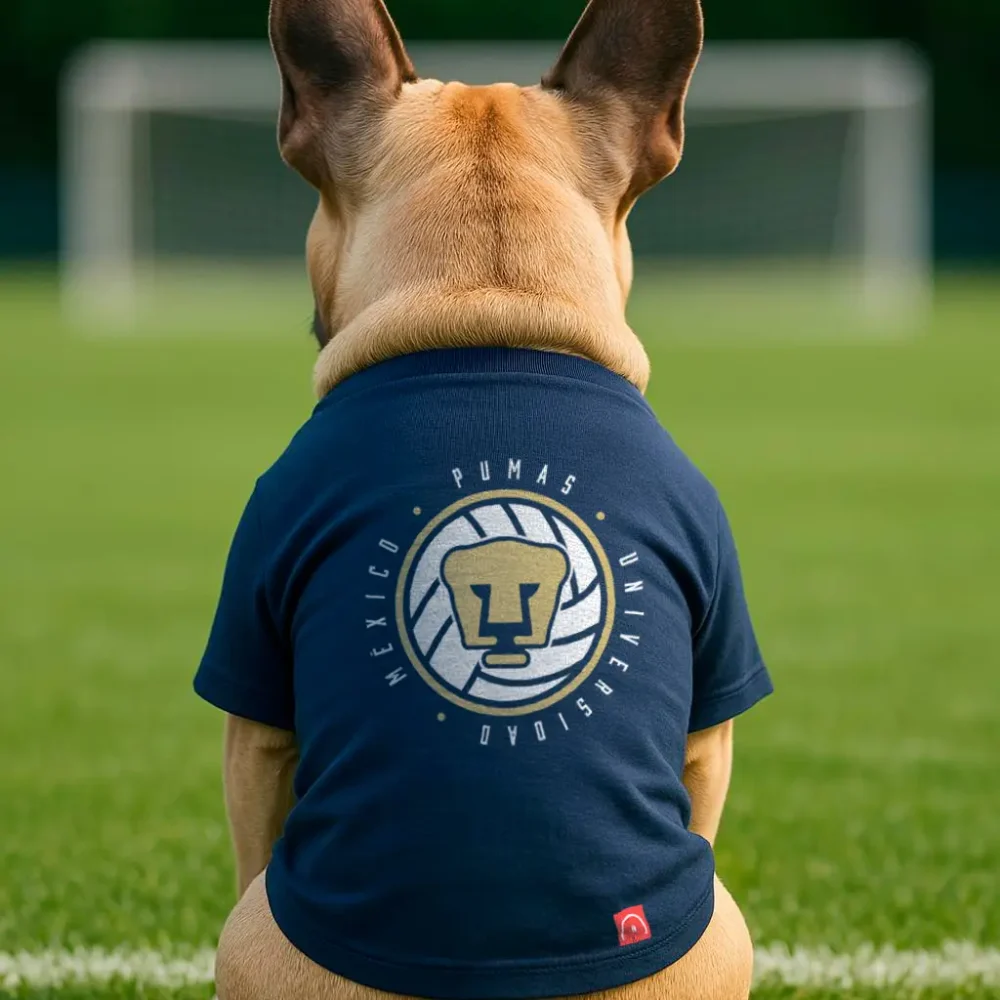Pumas mascota