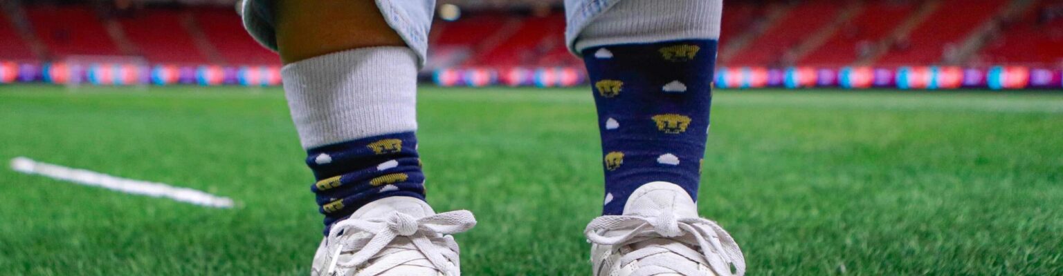 Filiponi calcetines2